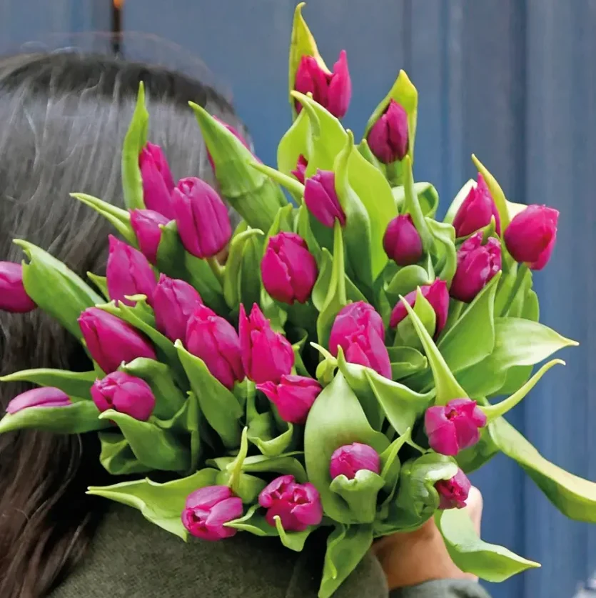 bouquet tulipes
